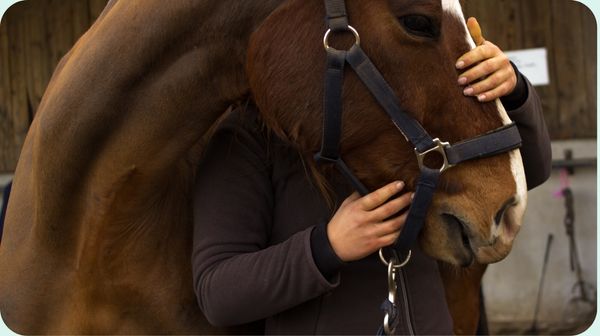 Comment agit l'ostéopathie animale ?